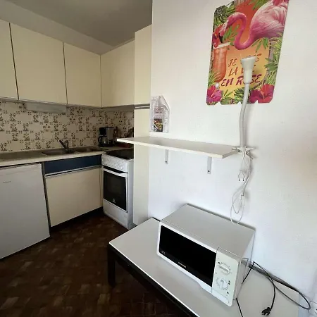 Au Cap D'agde, Animaux Acceptés, Proche - Fr-1-702-49
