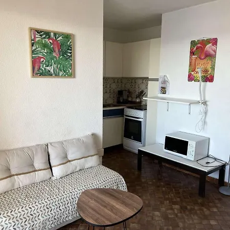 Au Cap D'agde, Animaux Acceptés, Proche - Fr-1-702-49 Appartement *